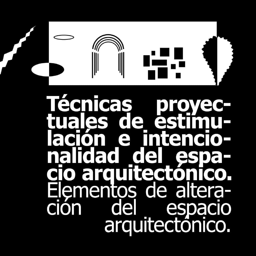 Tecnicas proyectuales